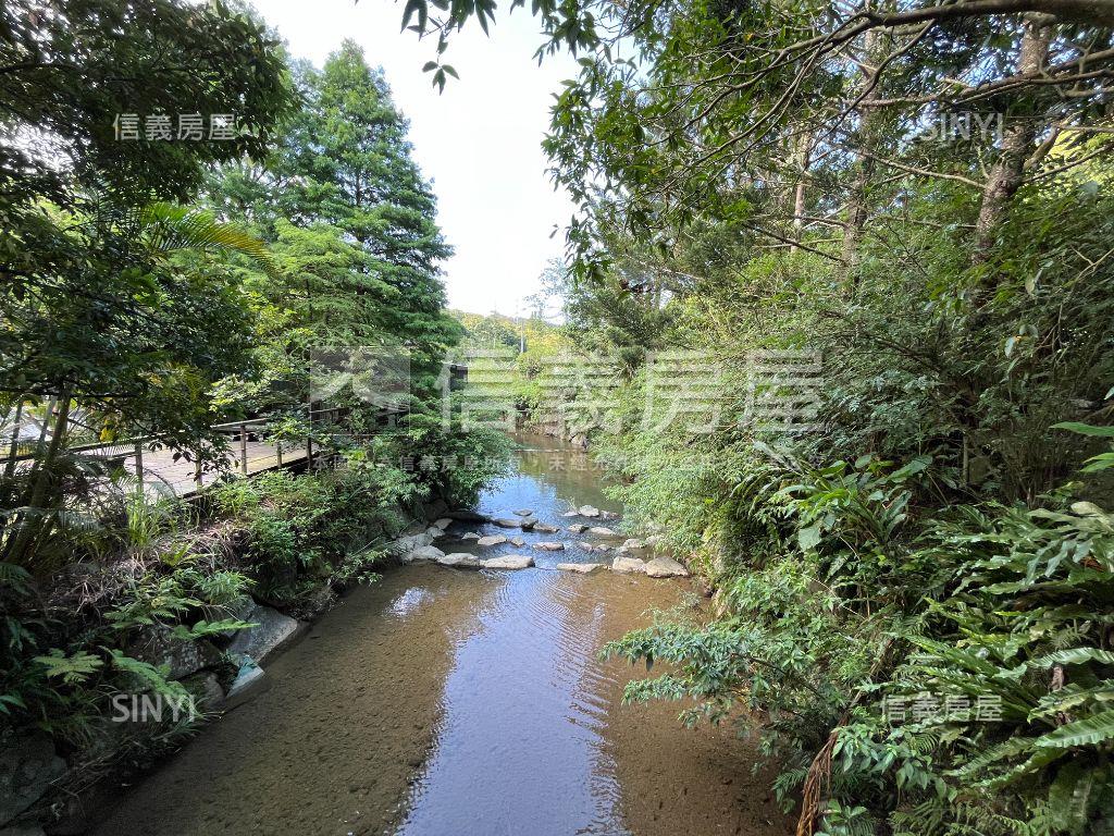 老樹聽蟬聲綠水人家繞房屋室內格局與周邊環境