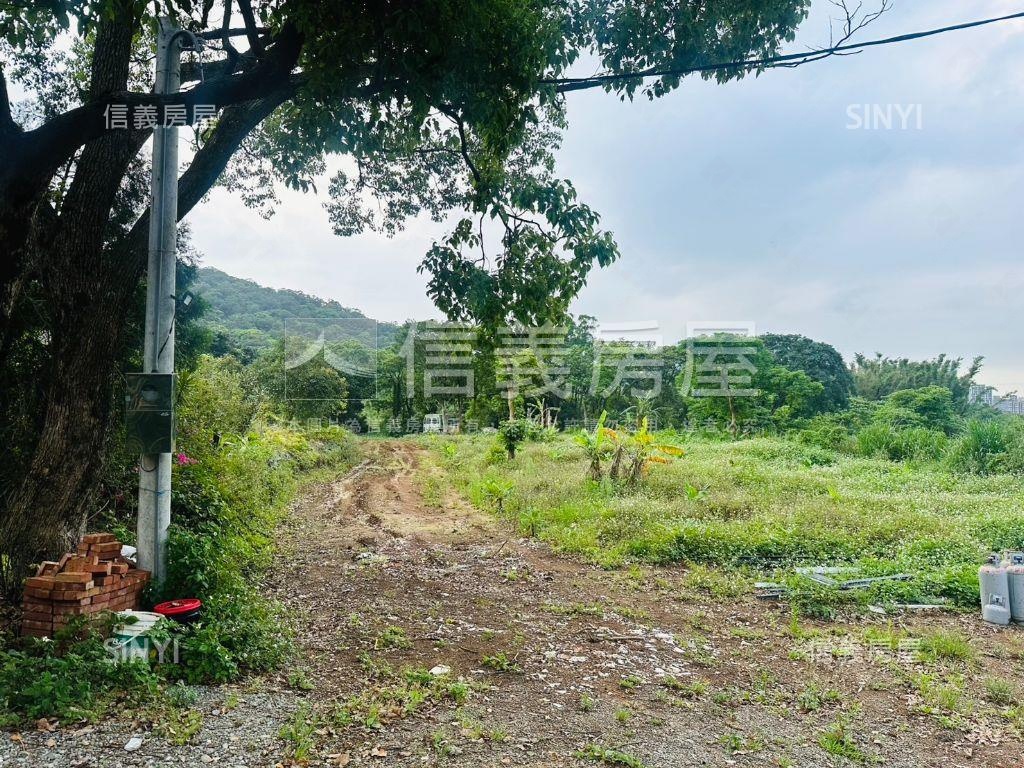 鄧公路２７８巷臨路大農地房屋室內格局與周邊環境