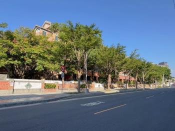 近樹義國小朝南震後別墅