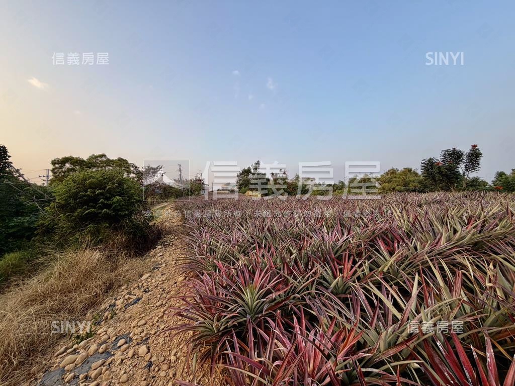 大樹四千坪農牧用地房屋室內格局與周邊環境