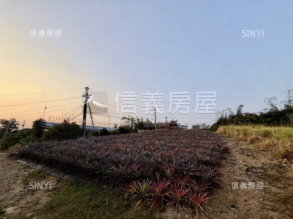 大樹四千坪農牧用地房屋室內格局與周邊環境