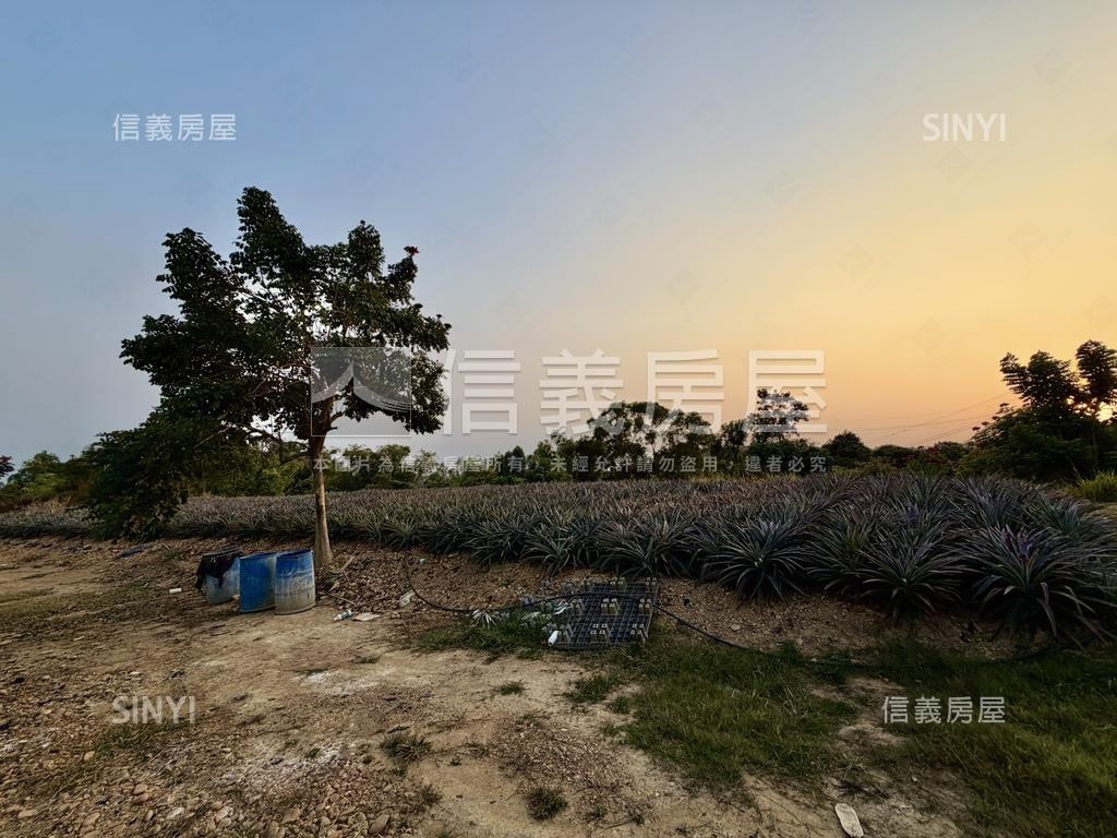 大樹四千坪農牧用地房屋室內格局與周邊環境