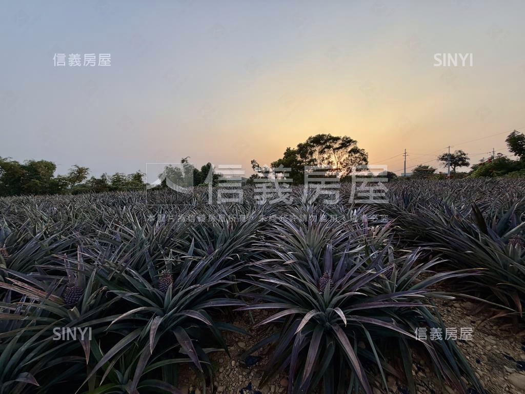 大樹四千坪農牧用地房屋室內格局與周邊環境