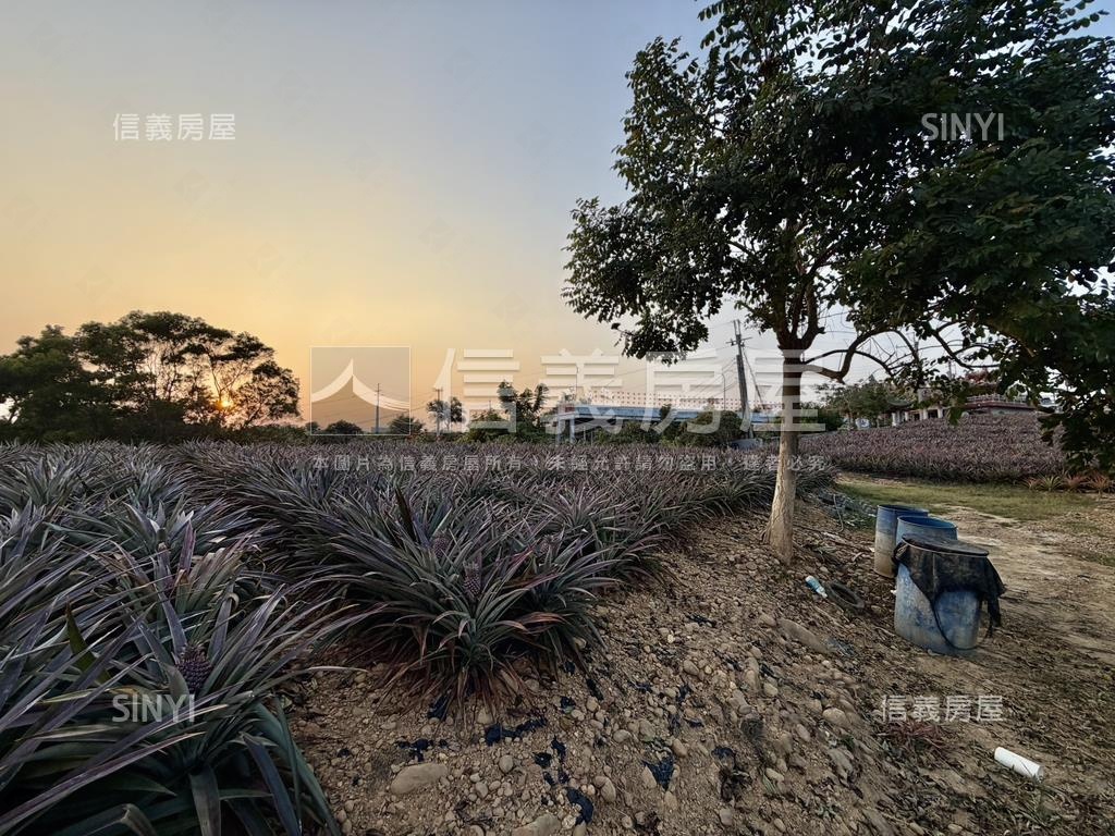 大樹四千坪農牧用地房屋室內格局與周邊環境