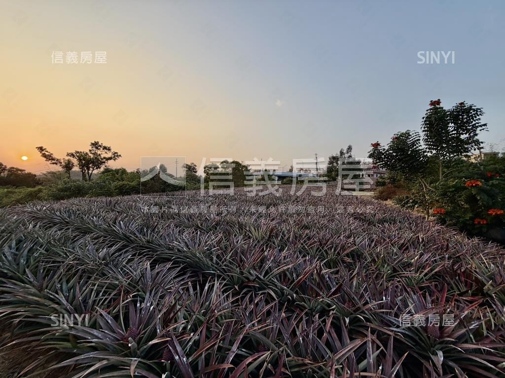 大樹四千坪農牧用地房屋室內格局與周邊環境