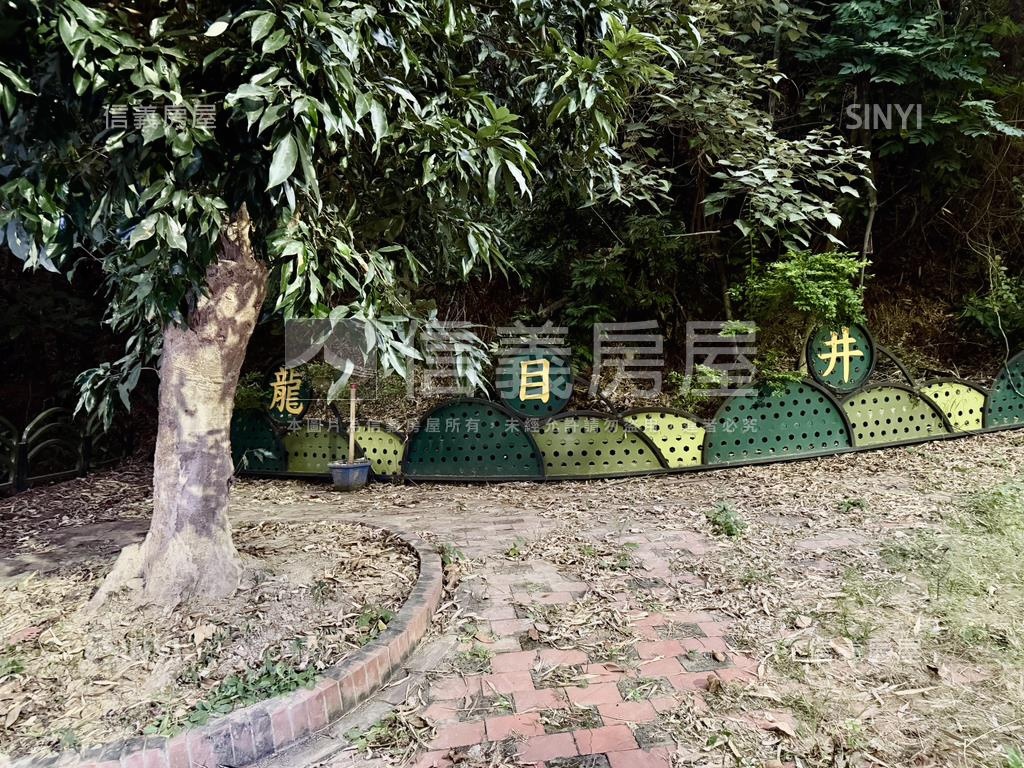 大樹四千坪農牧用地房屋室內格局與周邊環境