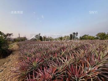 大樹四千坪農牧用地