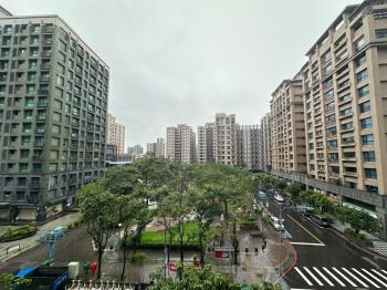 遠眺樹梢稀有華廈大戶