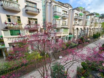 眺望遠方山峰家有景觀真好