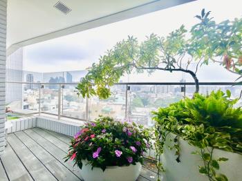 精銳ＳＫＹＯＮＥ公園豪邸