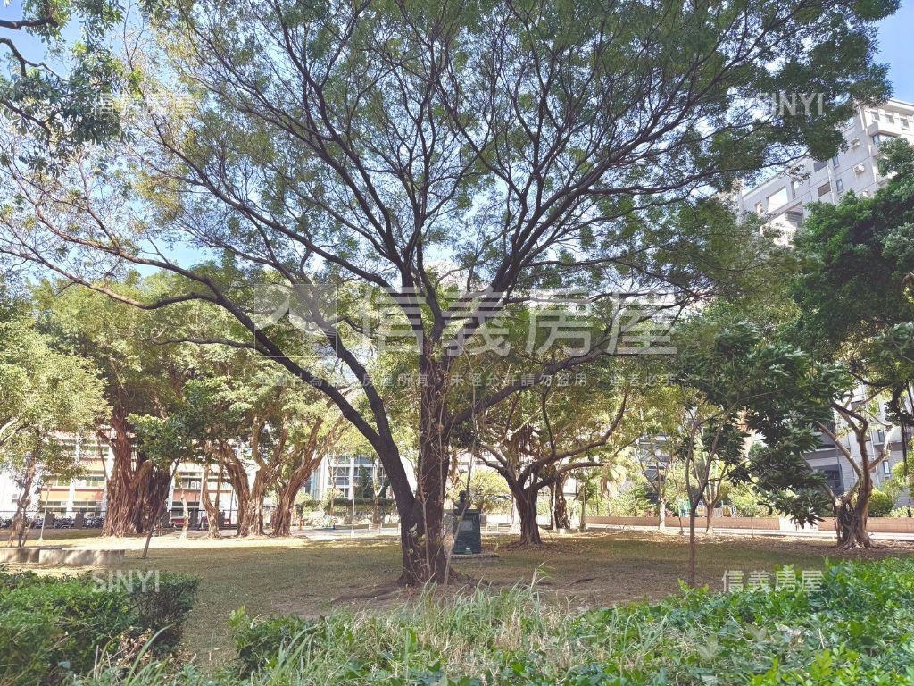 中央公園旁震後面公園３房房屋室內格局與周邊環境