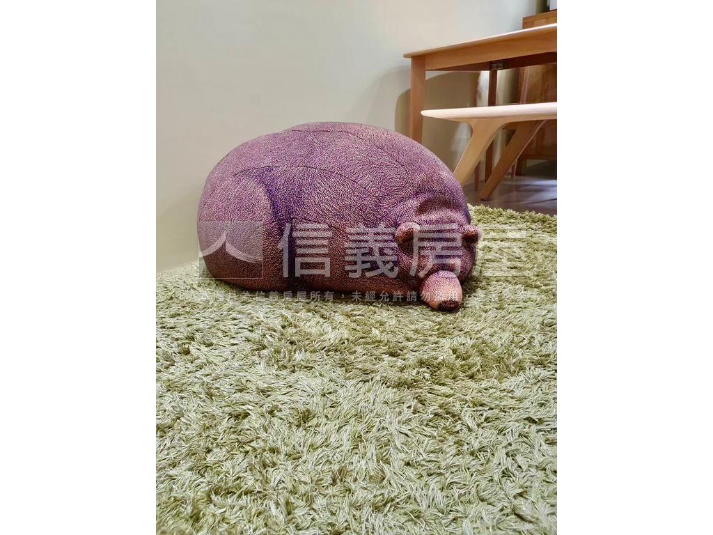 專任桃大誠稀有兩房平車房屋室內格局與周邊環境