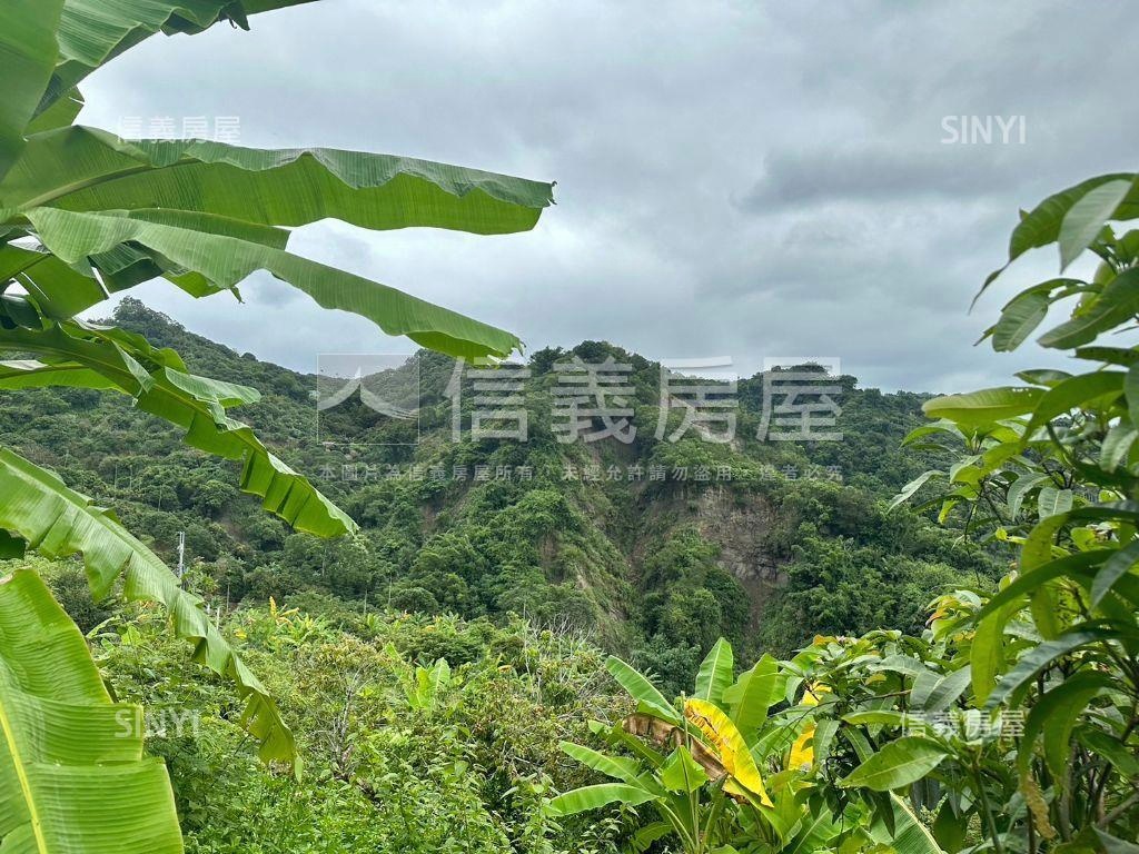 霧峰土地。性本愛丘山房屋室內格局與周邊環境