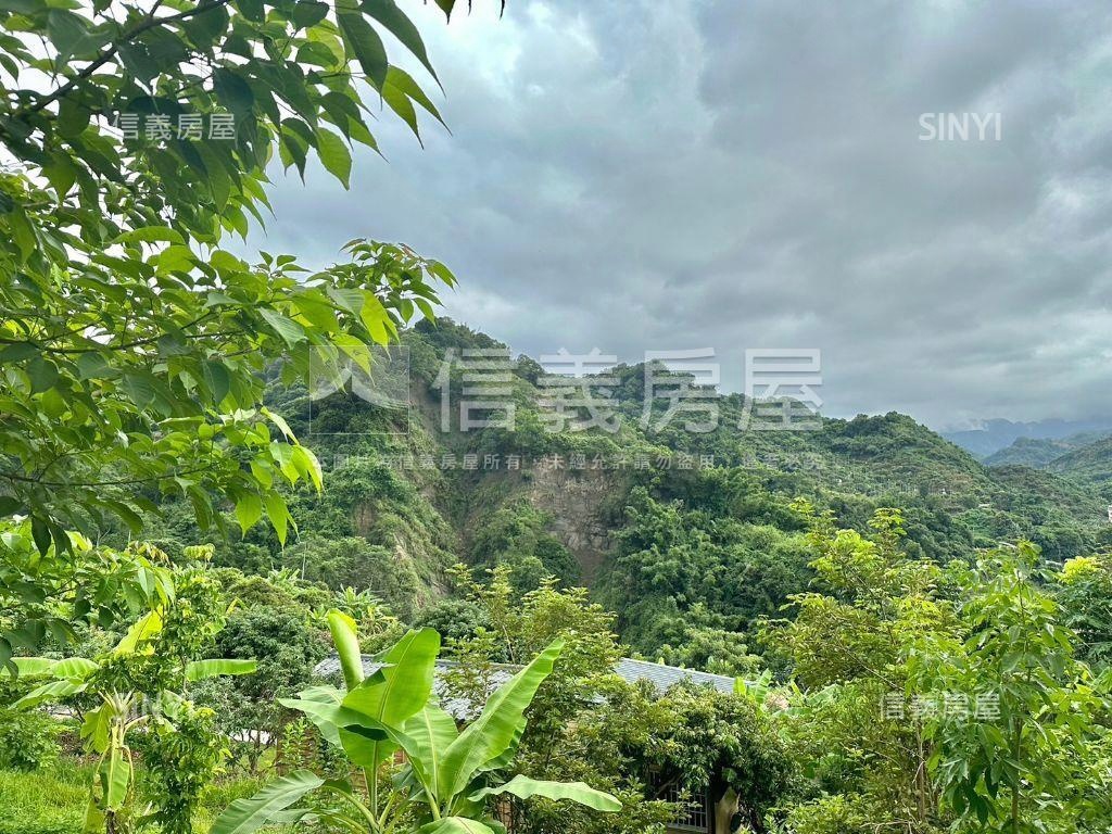 霧峰土地。性本愛丘山房屋室內格局與周邊環境