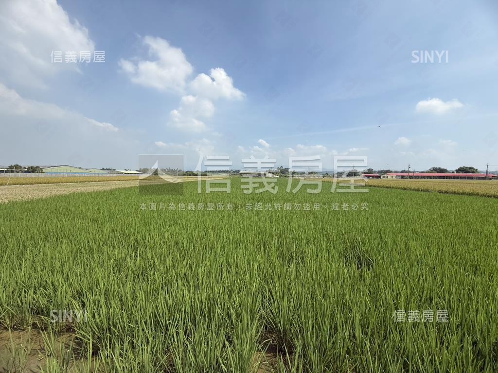 六甲區特定農地房屋室內格局與周邊環境