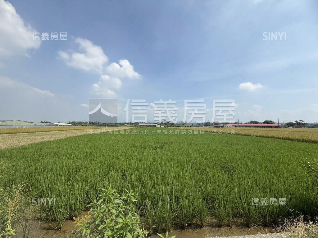 六甲區特定農地房屋室內格局與周邊環境