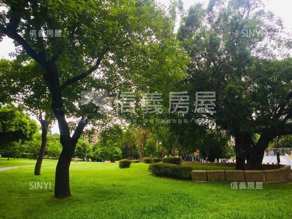 禾碩榮星高樓景觀稀有釋出房屋室內格局與周邊環境