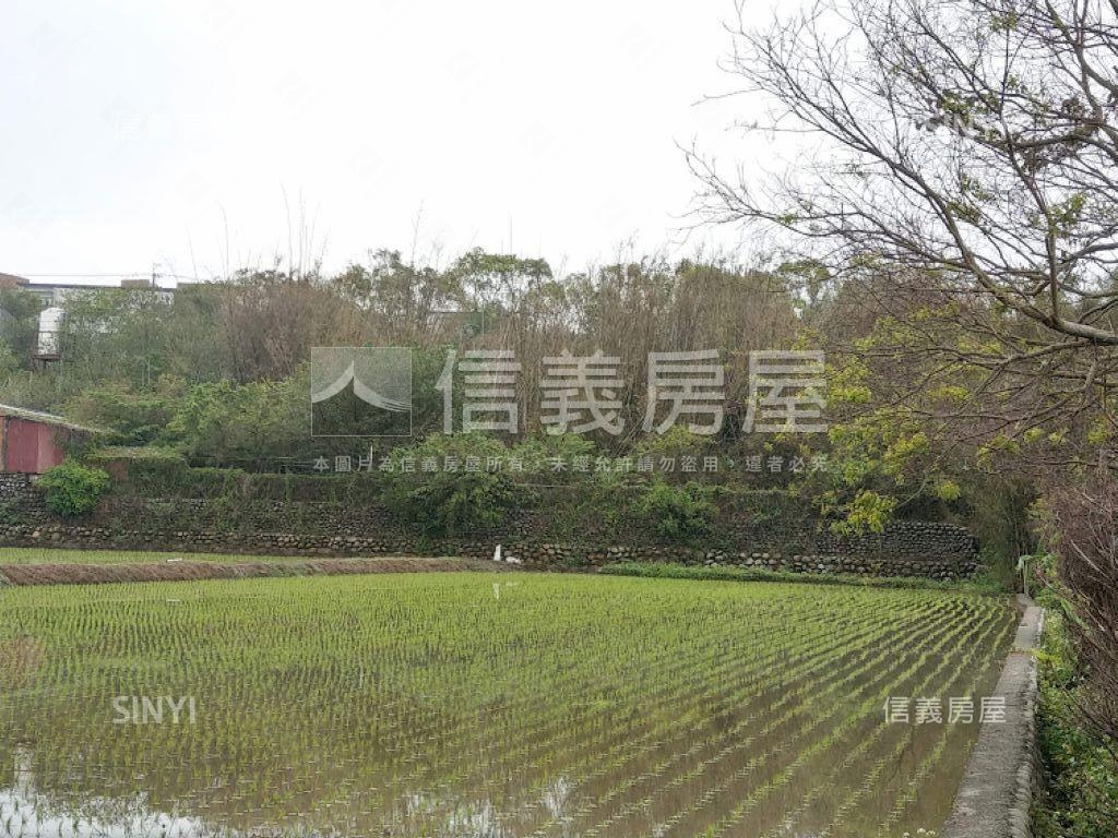 台中都市計畫內農地二房屋室內格局與周邊環境