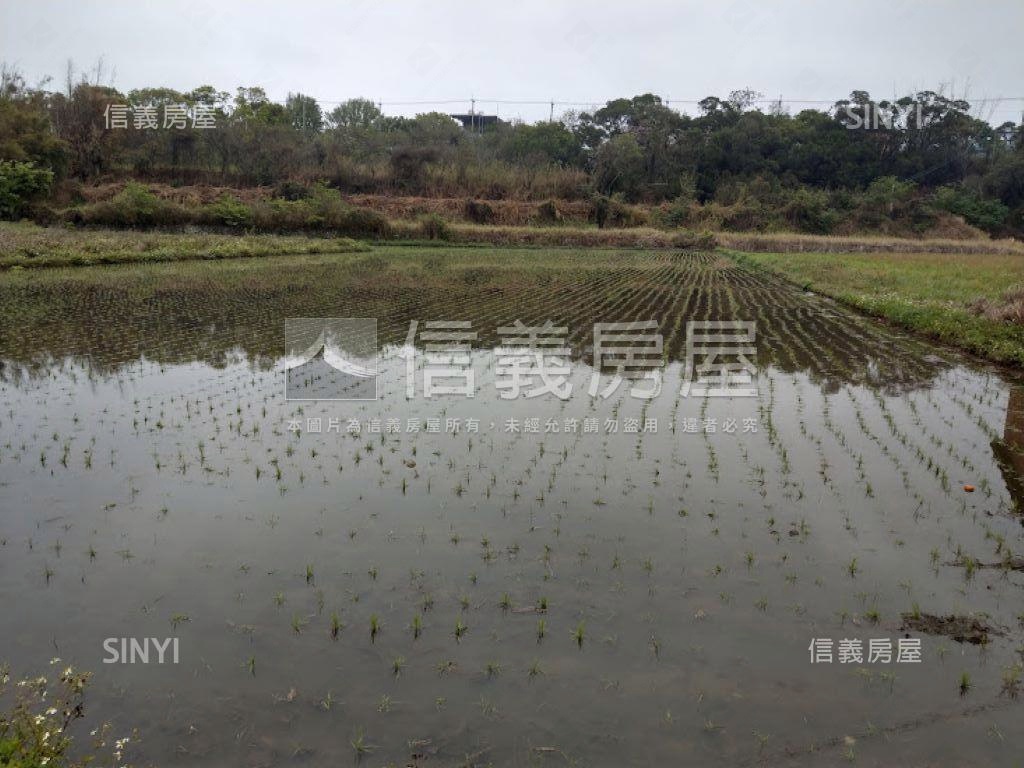 台中都市計畫內農地二房屋室內格局與周邊環境