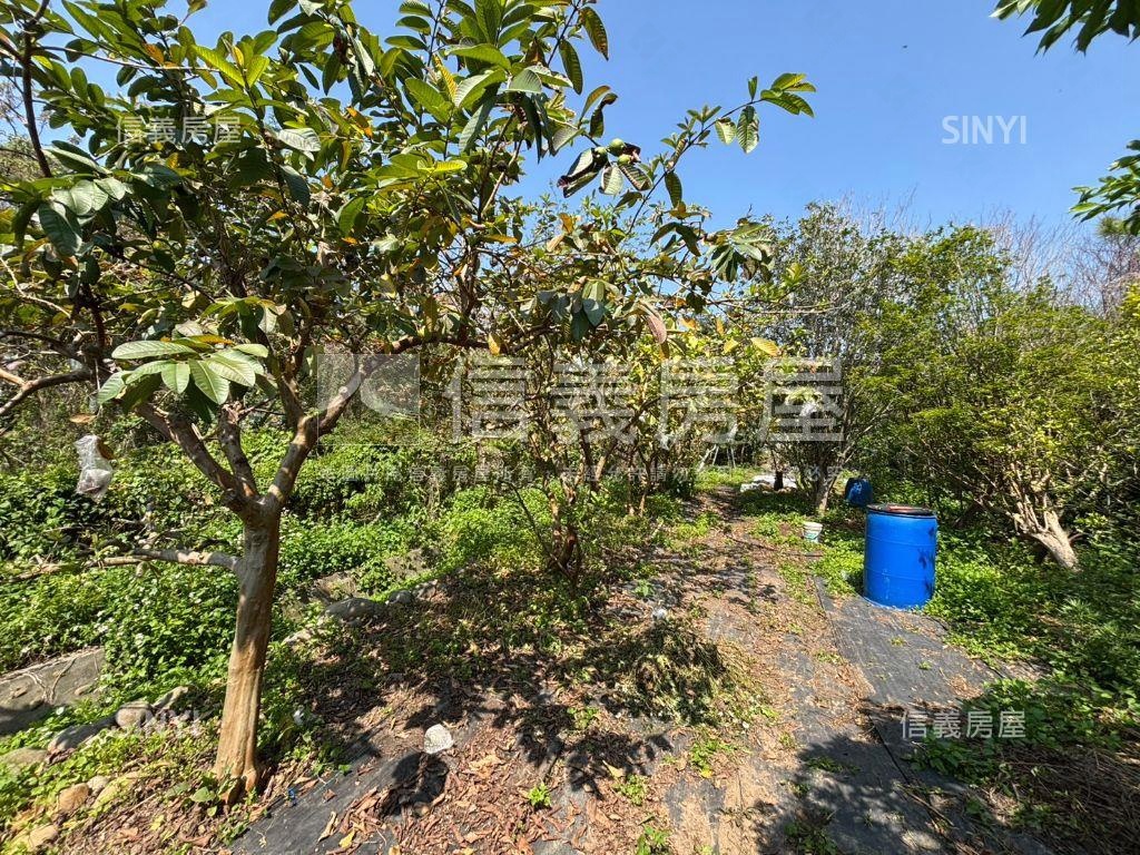 沐浴大自然☀️適退休美宅房屋室內格局與周邊環境