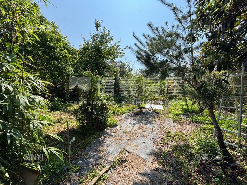 沐浴大自然☀️適退休美宅房屋室內格局與周邊環境