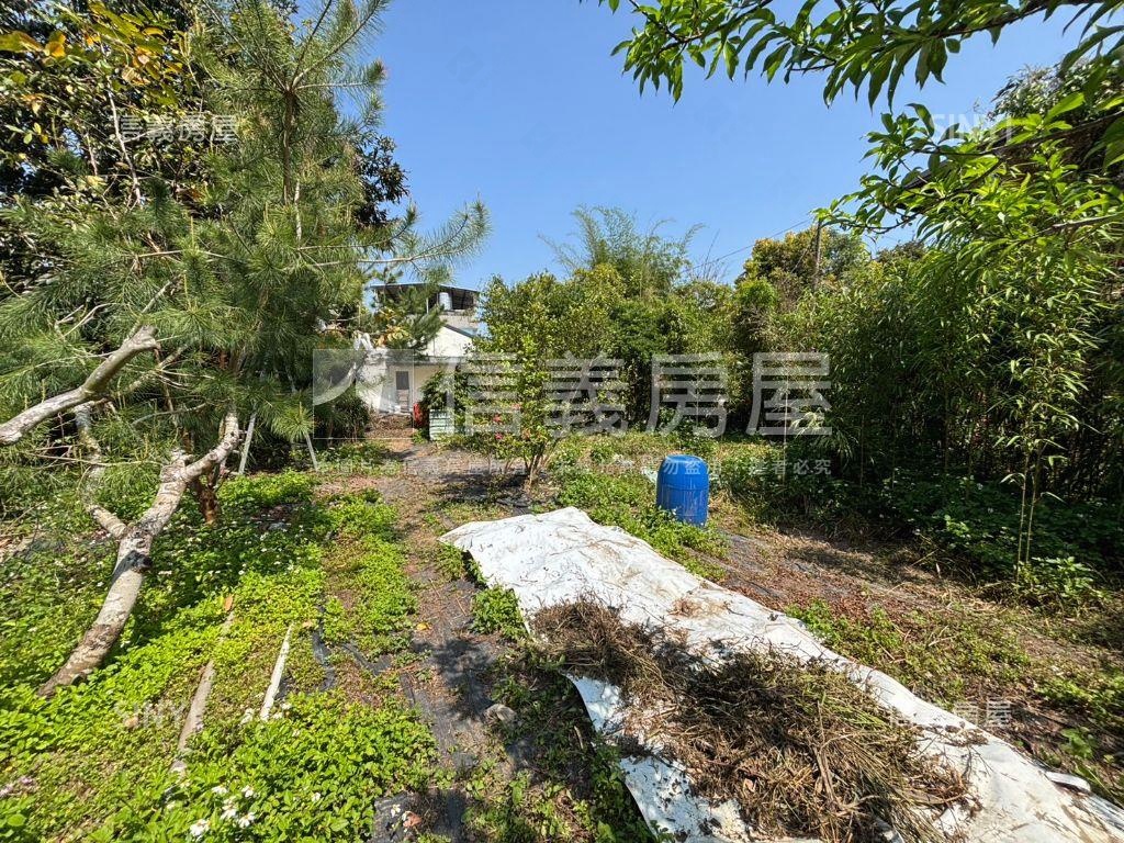 沐浴大自然☀️適退休美宅房屋室內格局與周邊環境