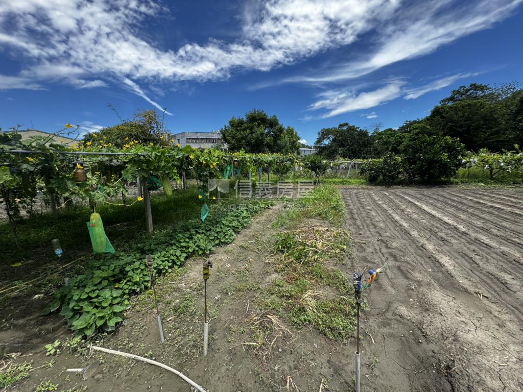 ３００開心小農地房屋室內格局與周邊環境