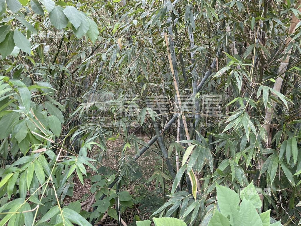 北市關渡段單獨持有土地房屋室內格局與周邊環境