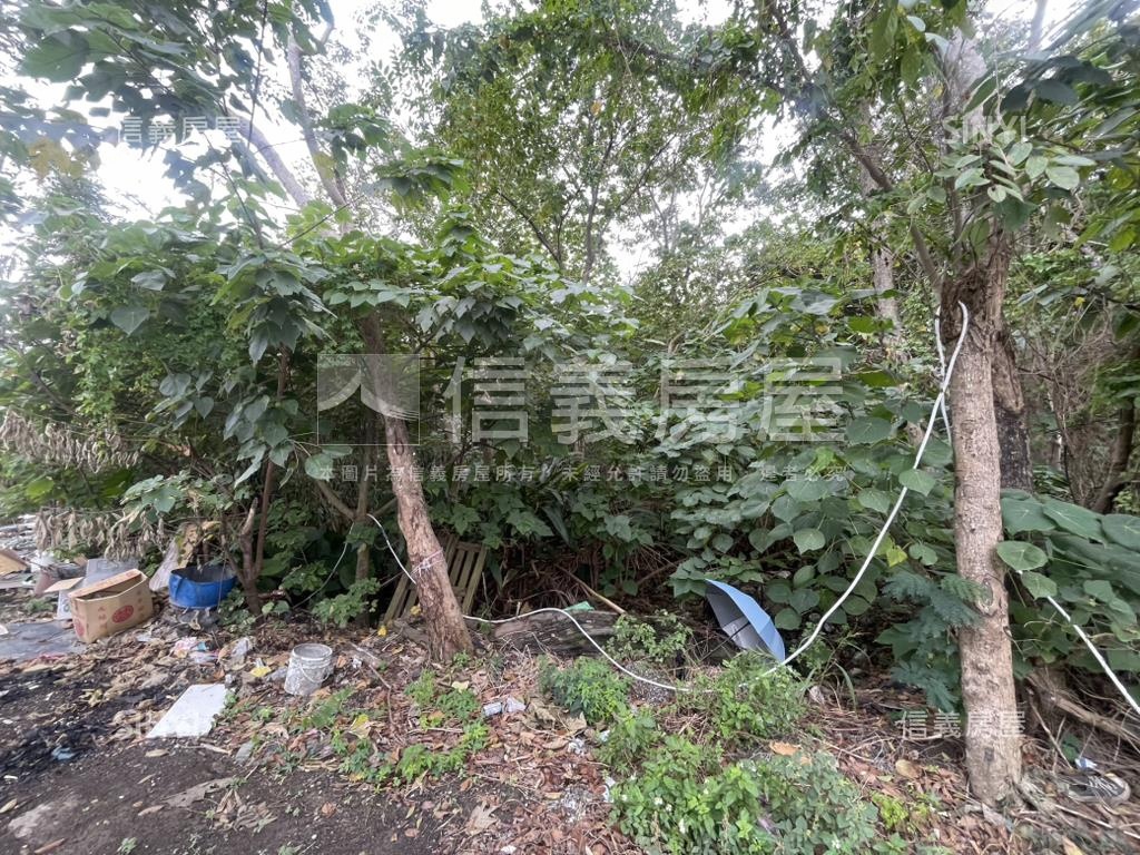 北市關渡段單獨持有土地房屋室內格局與周邊環境