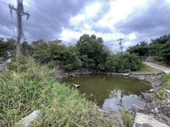 北市關渡段單獨持有土地