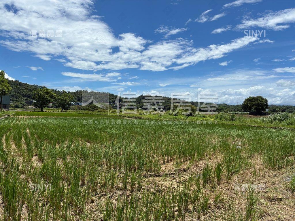 苗栗西湖持分農地房屋室內格局與周邊環境