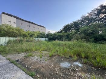 桃園中壢丁種約９６５坪