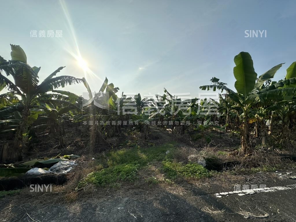 美濃龍中段特農美地房屋室內格局與周邊環境
