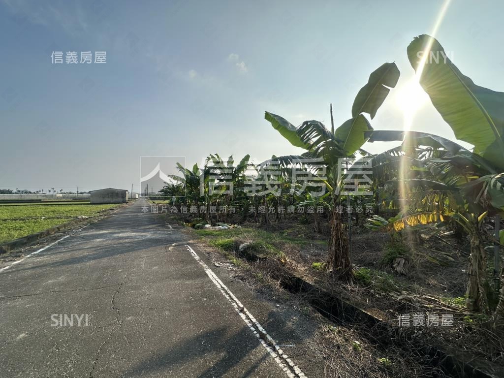 美濃龍中段特農美地房屋室內格局與周邊環境