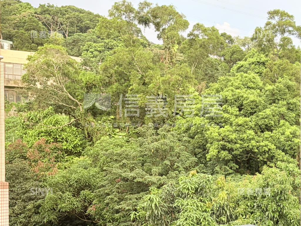 紅樹林向日葵邊間別墅透天房屋室內格局與周邊環境