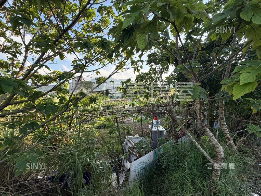 八里住三土地（整合可談）房屋室內格局與周邊環境