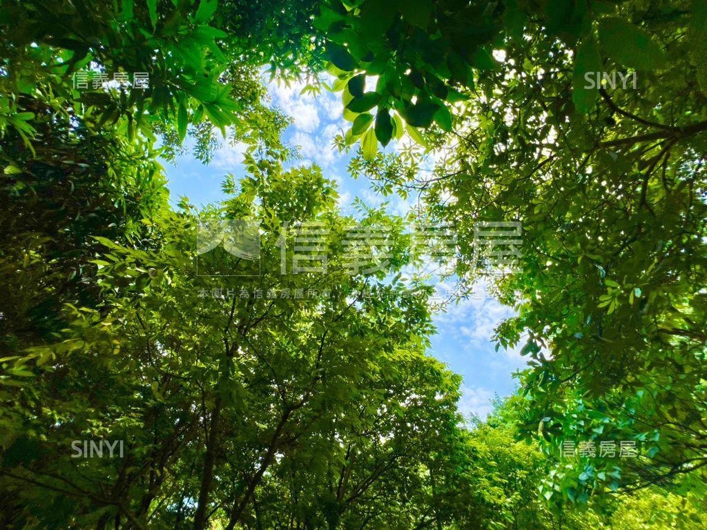 信義區靜巷雙公園美妝房屋室內格局與周邊環境