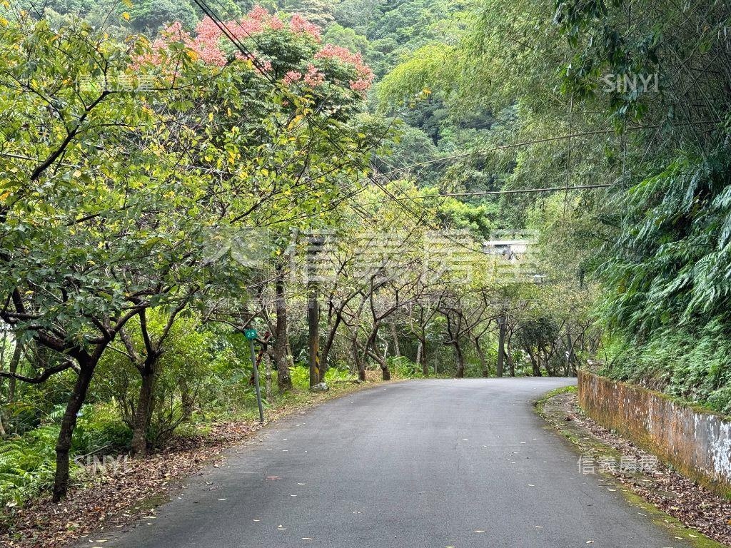 靜謐山林土地房屋室內格局與周邊環境