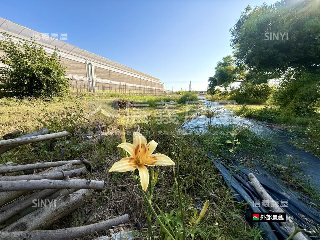 金砂段２分半方正農地房屋室內格局與周邊環境