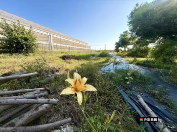金砂段２分半方正農地