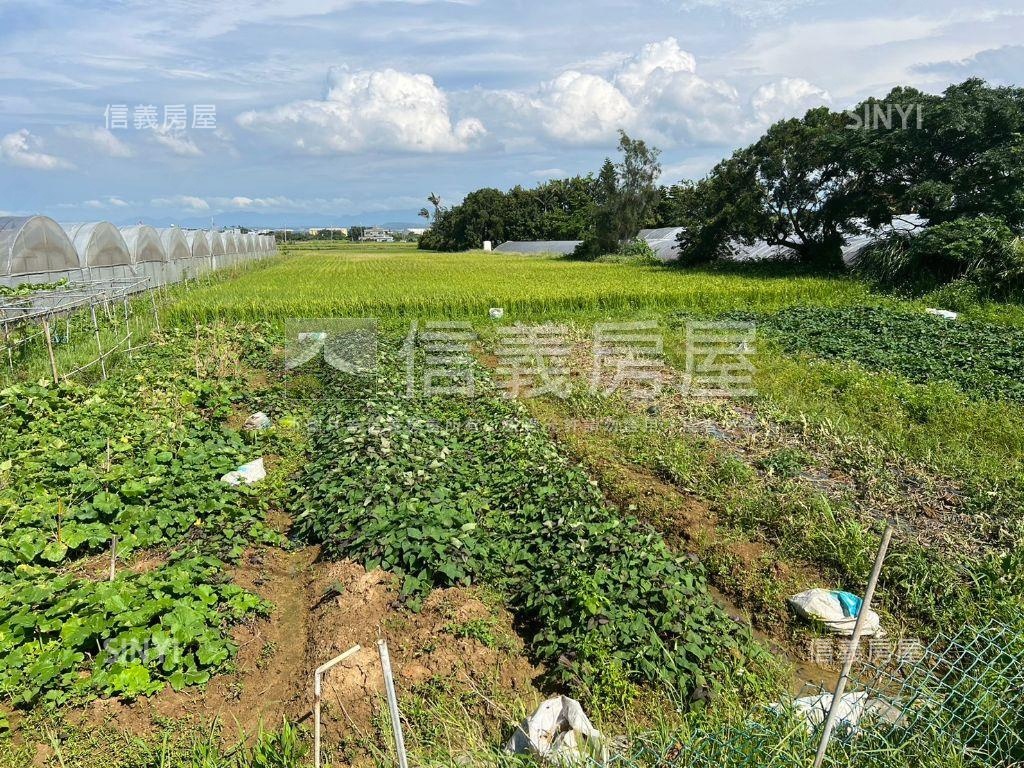 新屋後庄持分農地Ｃ房屋室內格局與周邊環境