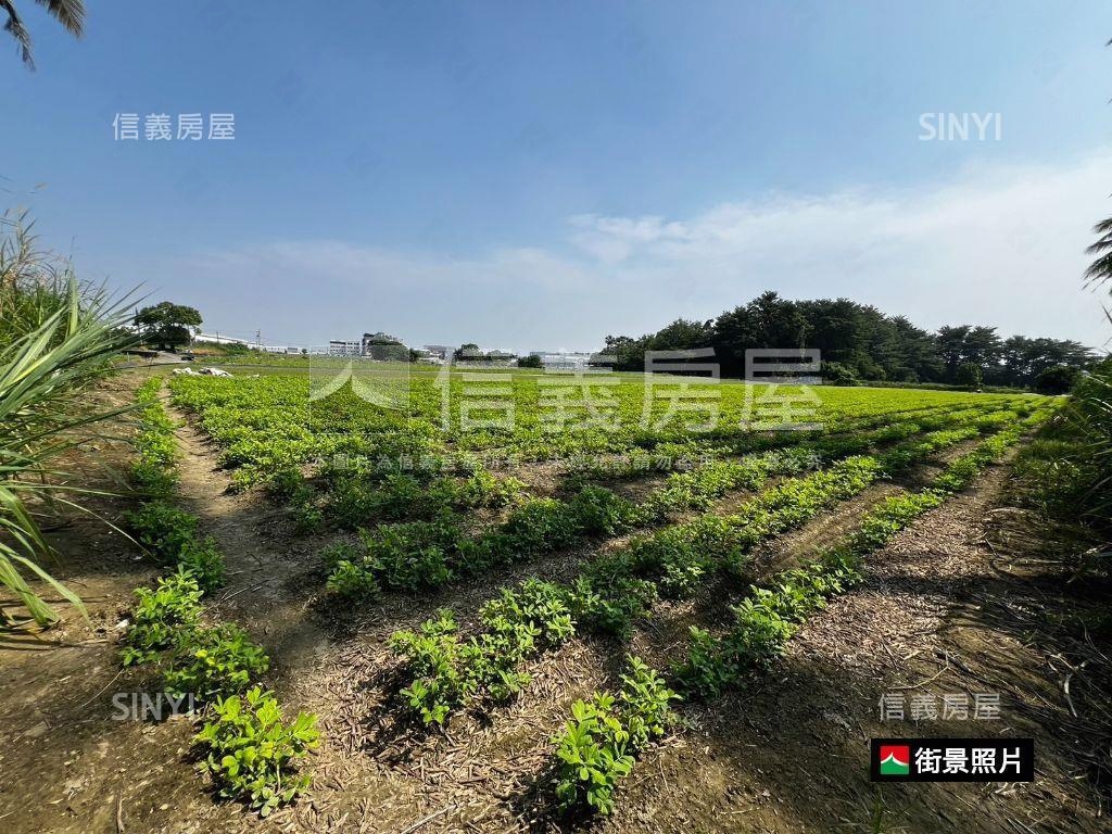 西港近新吉工業區開心農地房屋室內格局與周邊環境