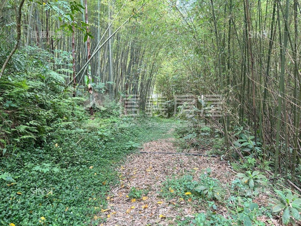 三峽臨路農牧地房屋室內格局與周邊環境