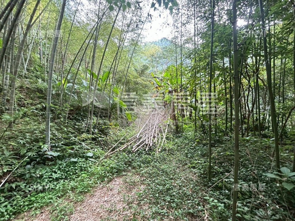 三峽臨路農牧地房屋室內格局與周邊環境