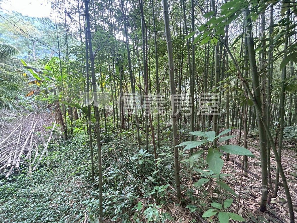 三峽臨路農牧地房屋室內格局與周邊環境