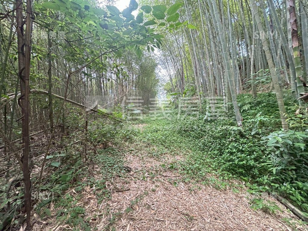 三峽臨路農牧地房屋室內格局與周邊環境