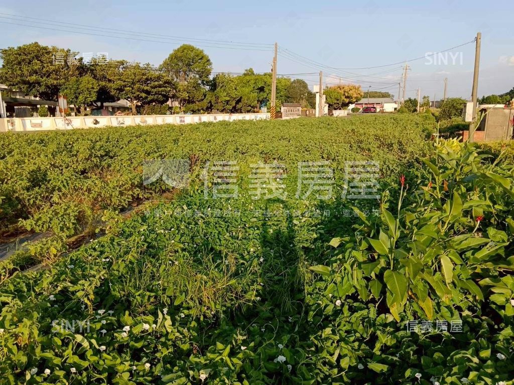 臨土庫國小臨路土地房屋室內格局與周邊環境