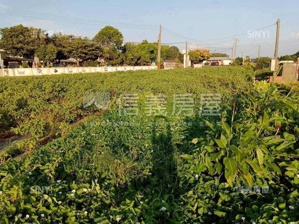 臨土庫國小臨路土地房屋室內格局與周邊環境