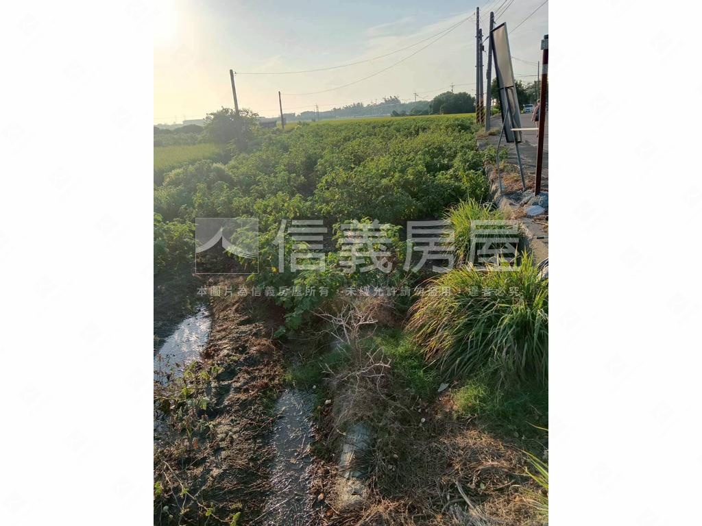 臨土庫國小臨路土地房屋室內格局與周邊環境