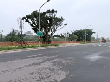 大園大地坪臨路土地